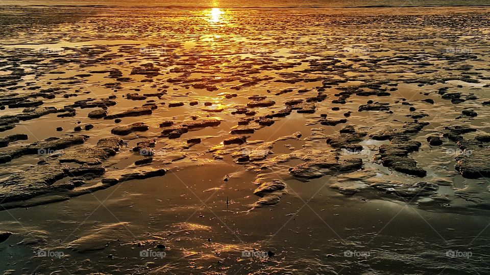 beautiful patterns on muddy beach