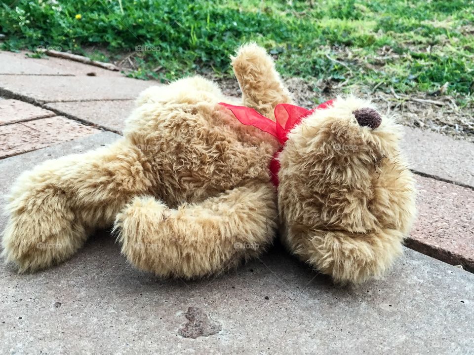 Abandoned teddy bear on ground 