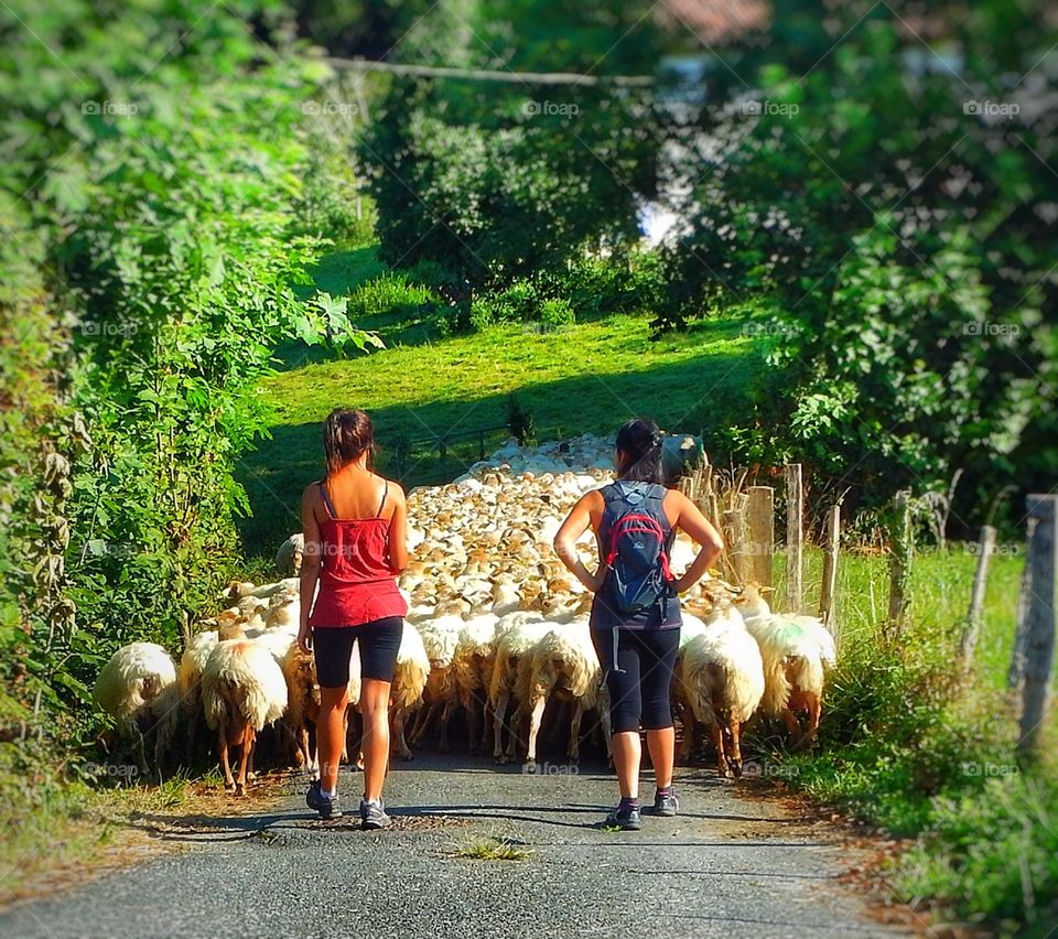 Traffic jam Basque Country 