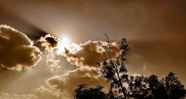 sky has no limit