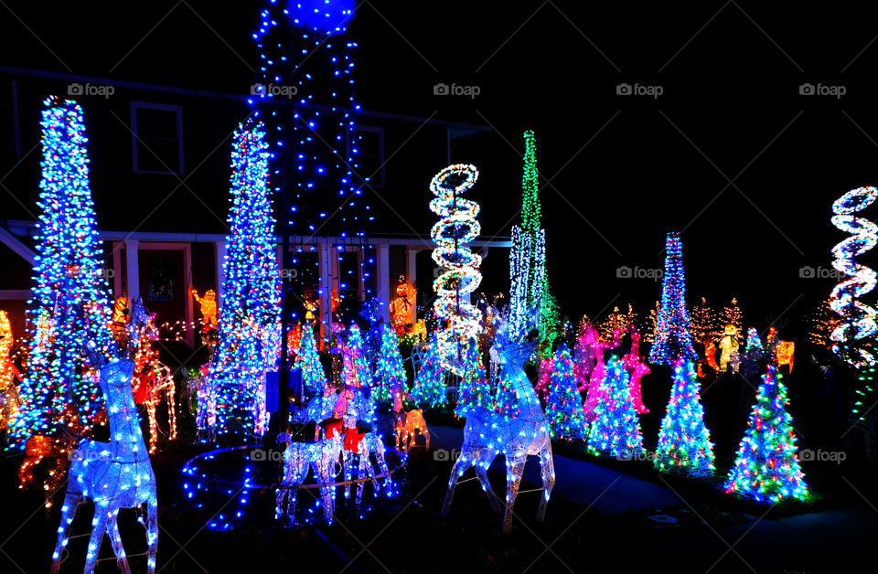 Lighted electric Christmas trees displayed in a neighborhood hosing area!