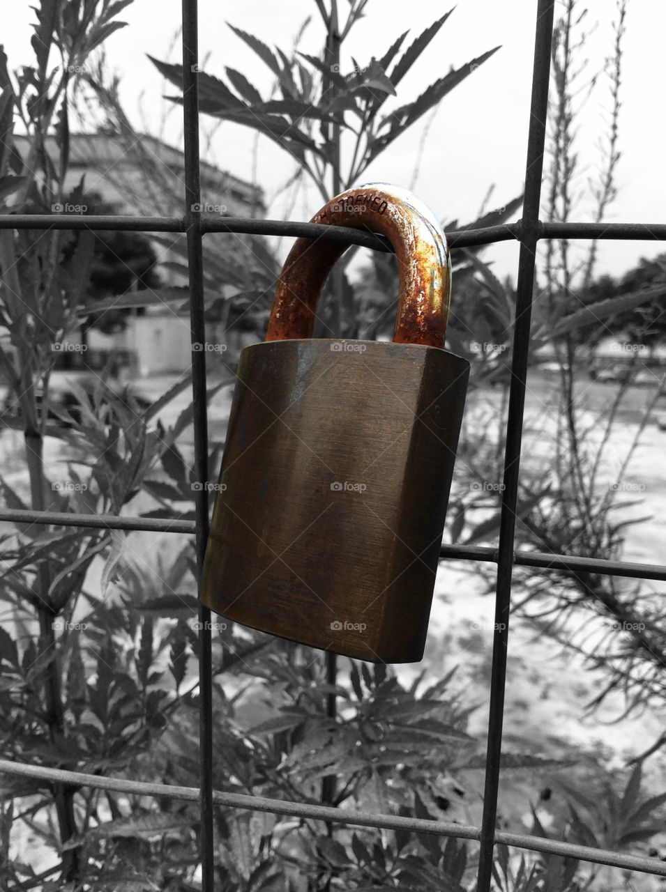 Closeup of padlock on fence