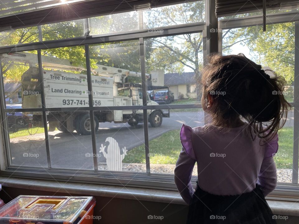 Little girl watches as tree gets cut down and shredded, curious three year old girl, watching out the window at workers, watching trees get taken down