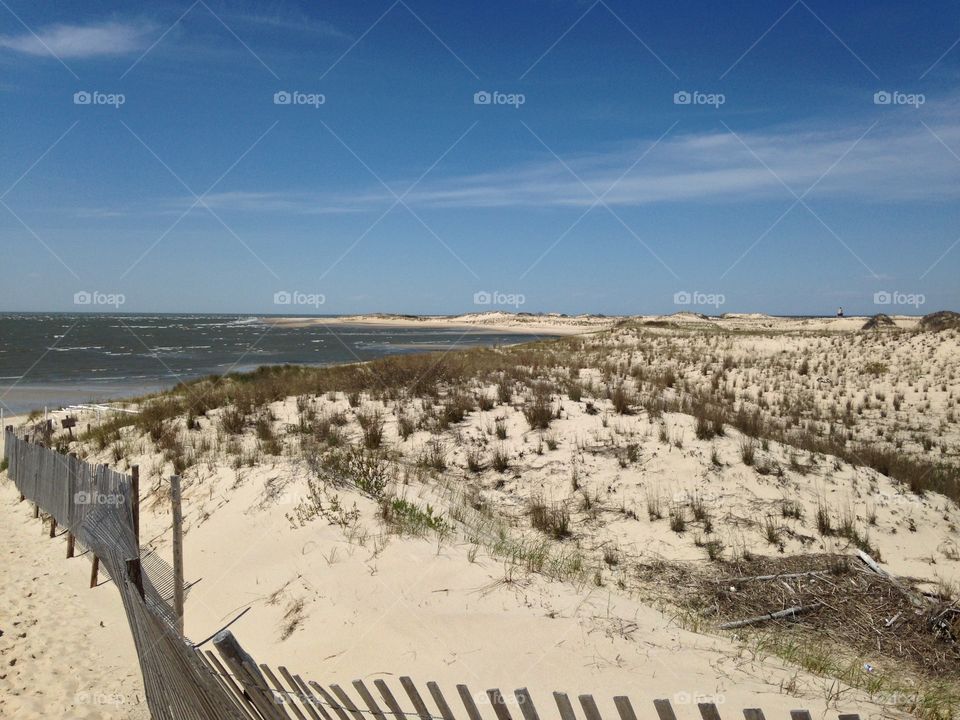Beach in Delaware 