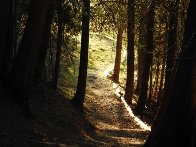 Wakefield trail