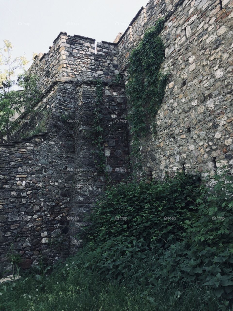 Ancient wall