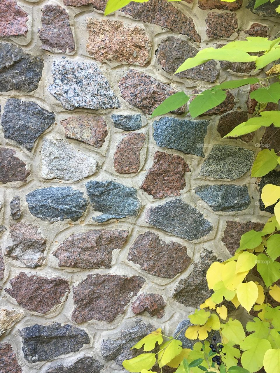 Stone wall and leafs 