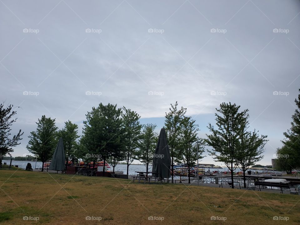 marina in summertime