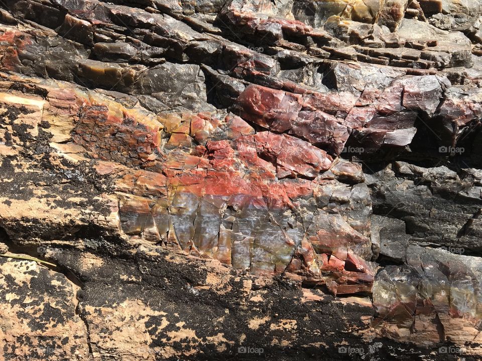 Color patterns in petrified log, Escalante, Utah