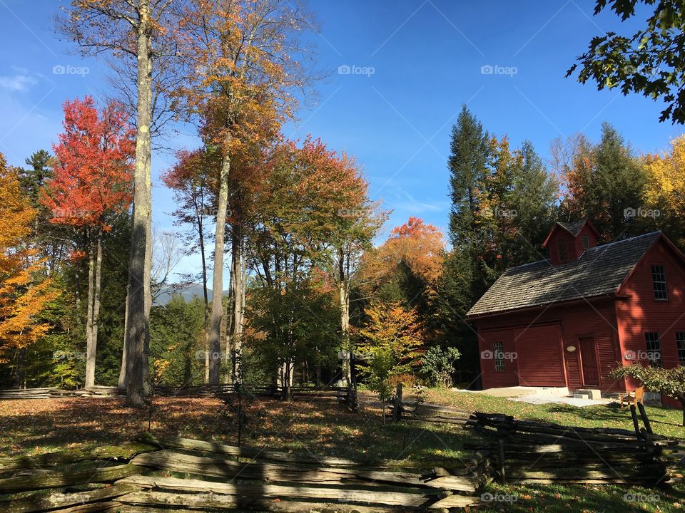 Wood, Fall, House, No Person, Tree