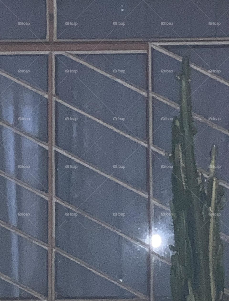 Casa iluminada, janela simples com cacto arbustivo ao lado. Janela fechada assegurando privacidade.