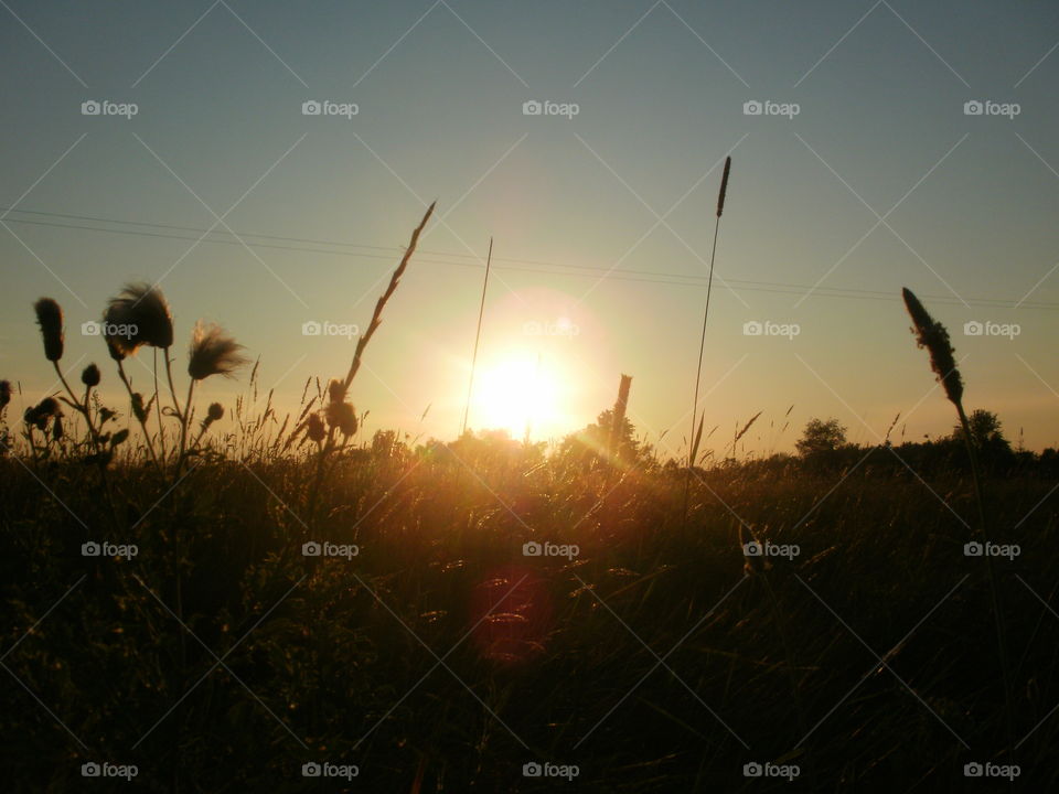 Sun over Field