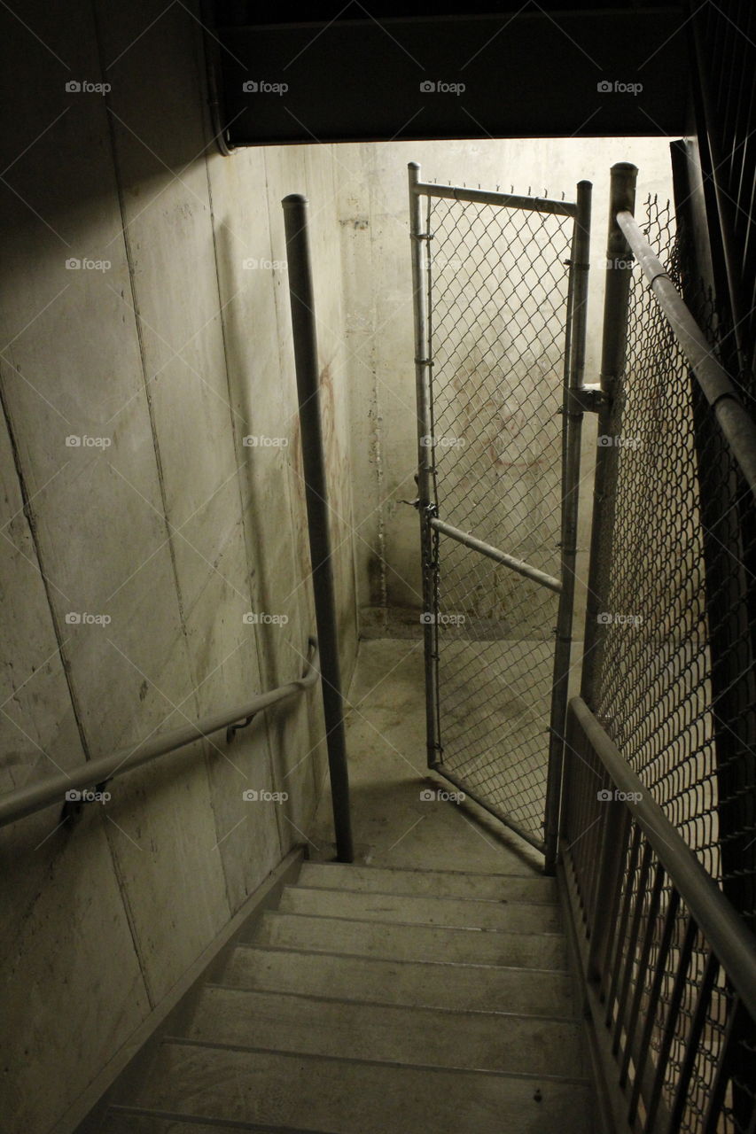 light in the darkness