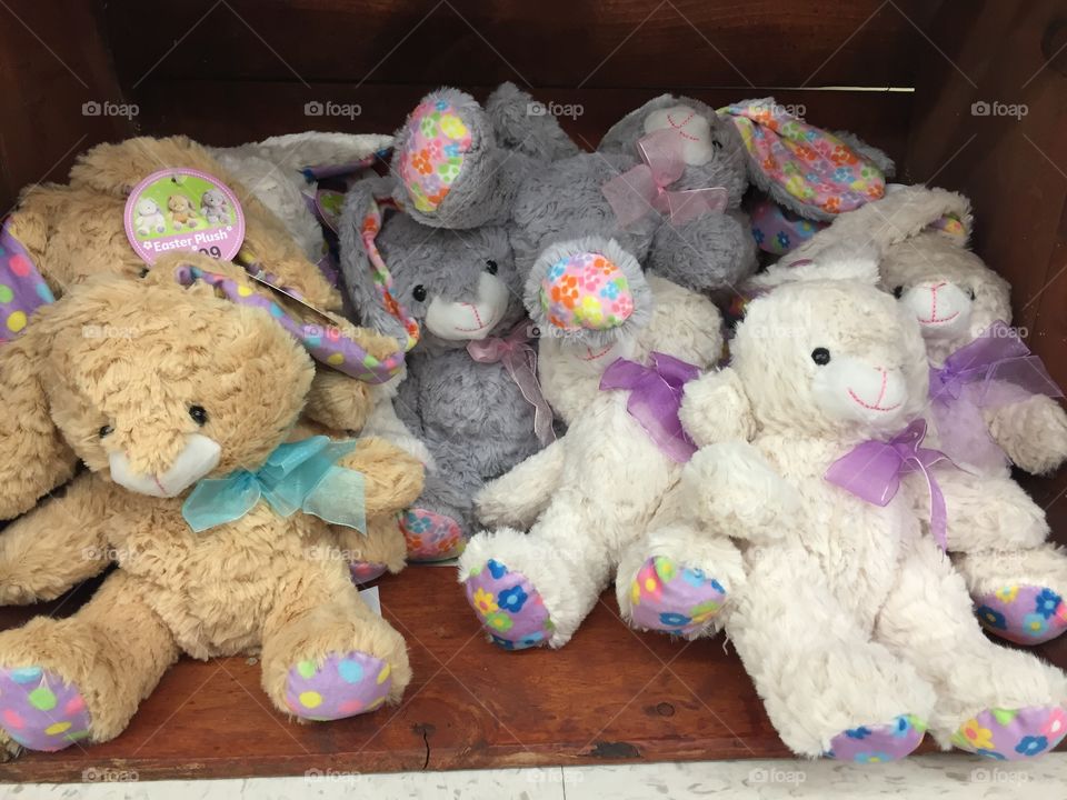 Colorful stuffed animal
Bunny rabbits
