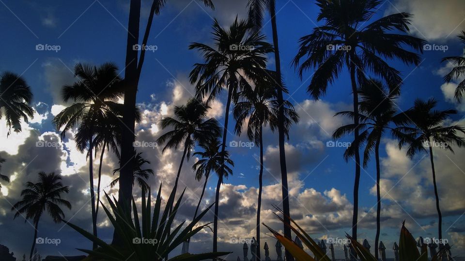 Salvador Bahia Brazil