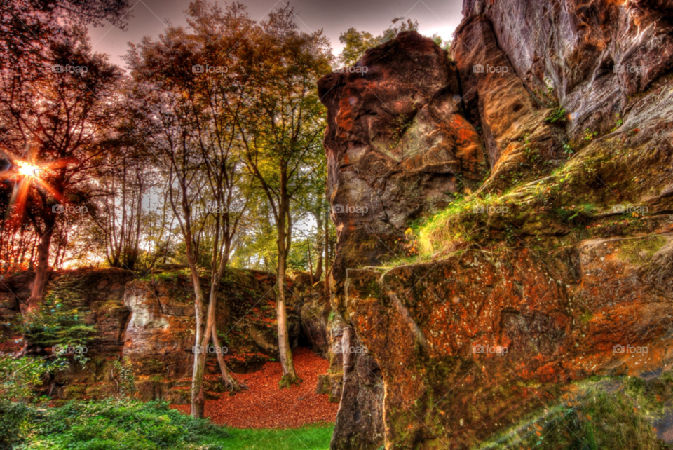 autumn leaves balls hollow sandstone outcrop rusthall by markhowden