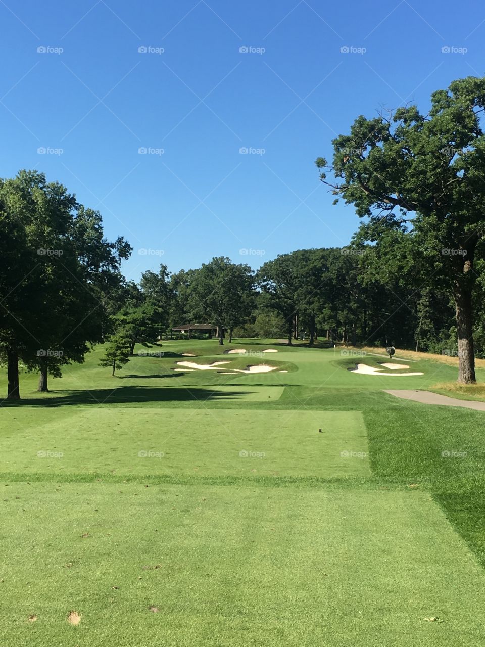 Chicago area golf course 