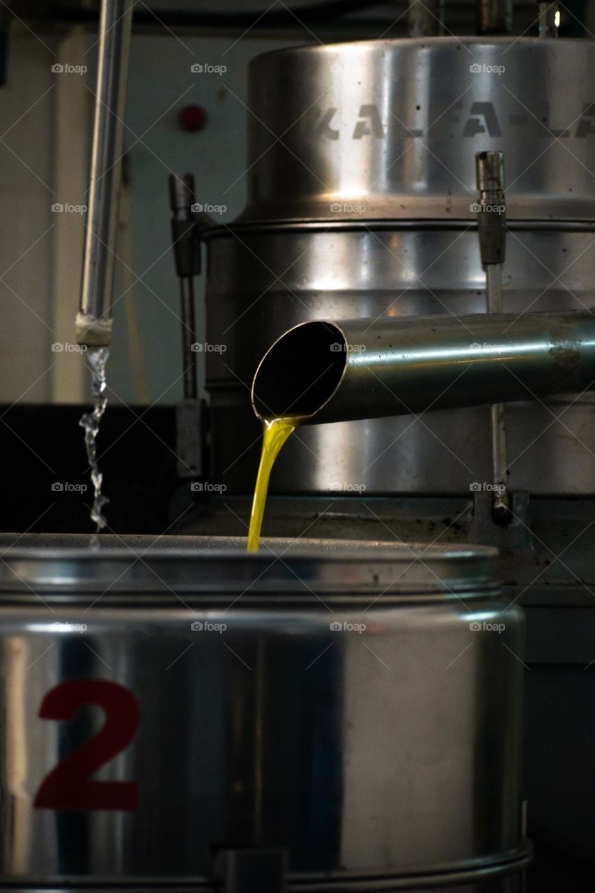 Making fresh oil🫒