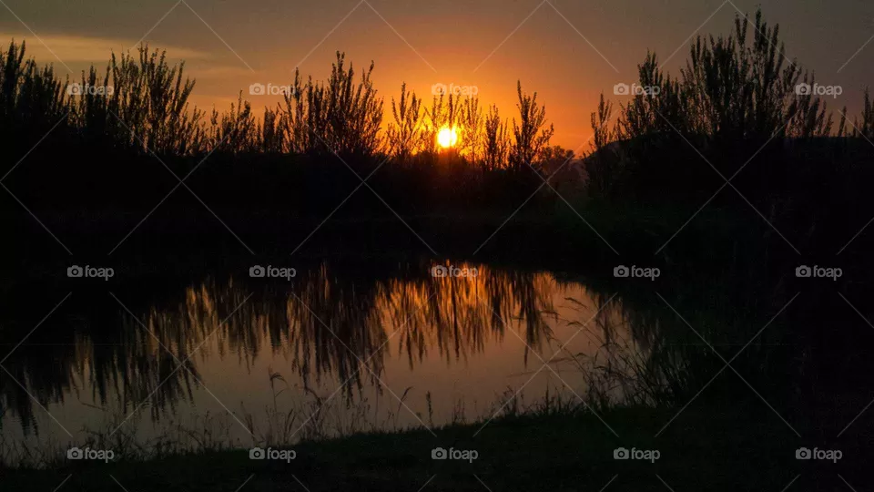sunset