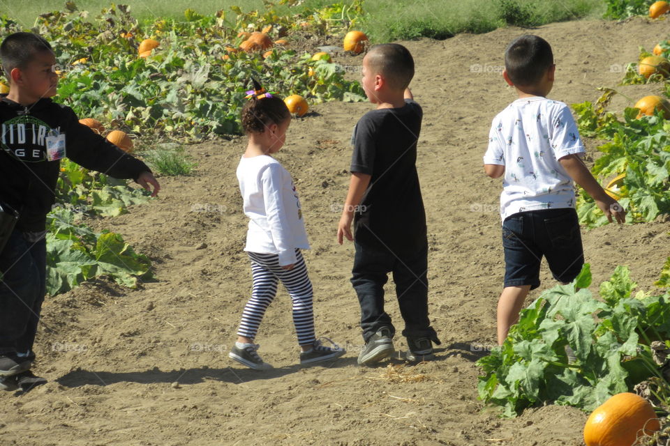 Kids in a pumpkin patch