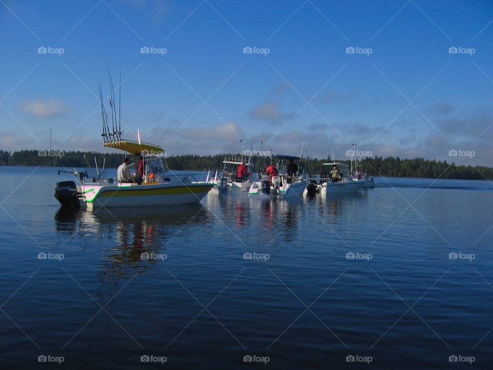 Fishing boats
