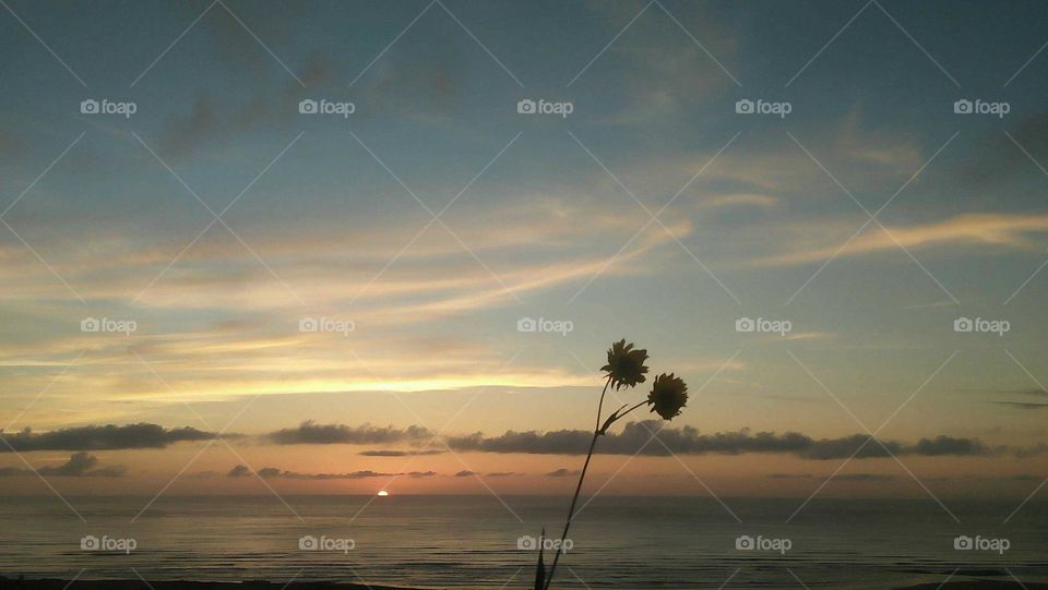 Magic sunset at essaouira City in Morocco.