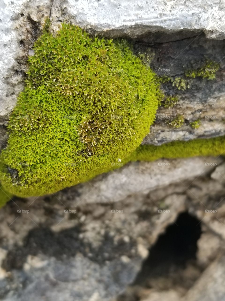 Miniature cave