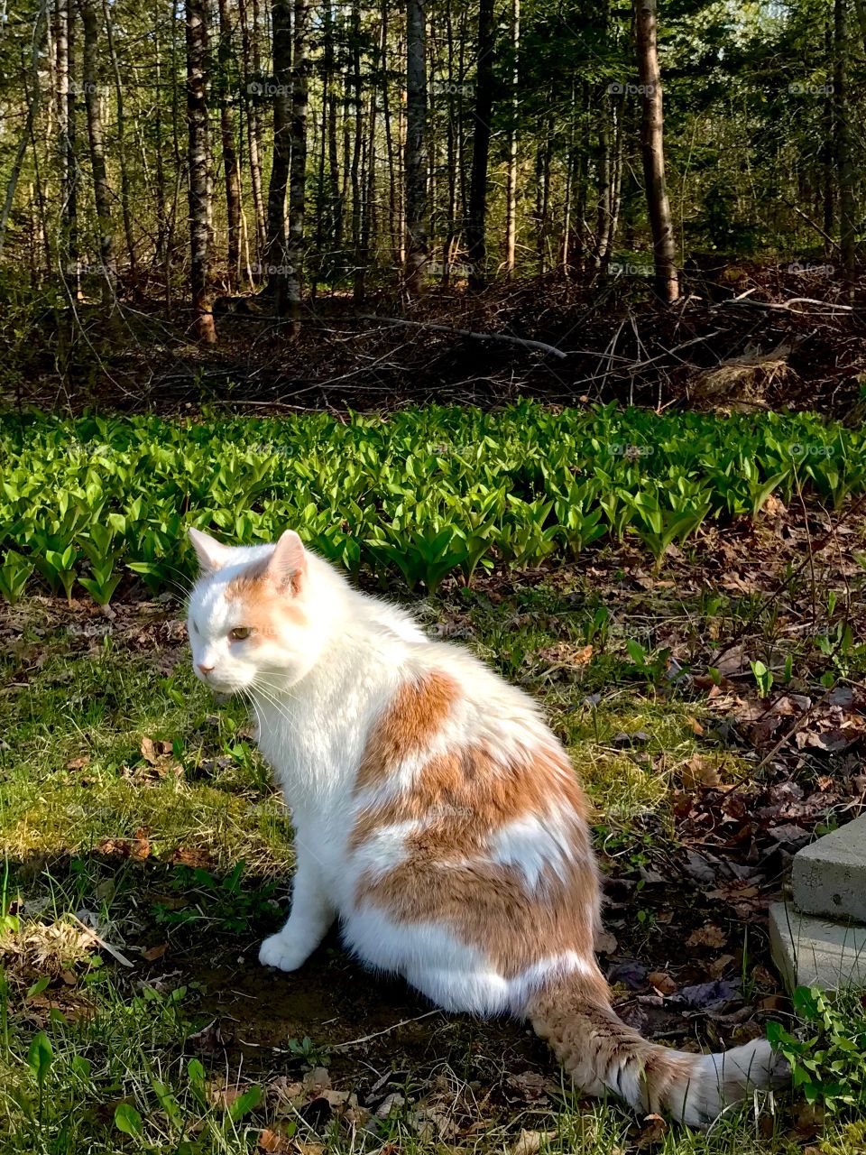 Enjoying a warm Spring day