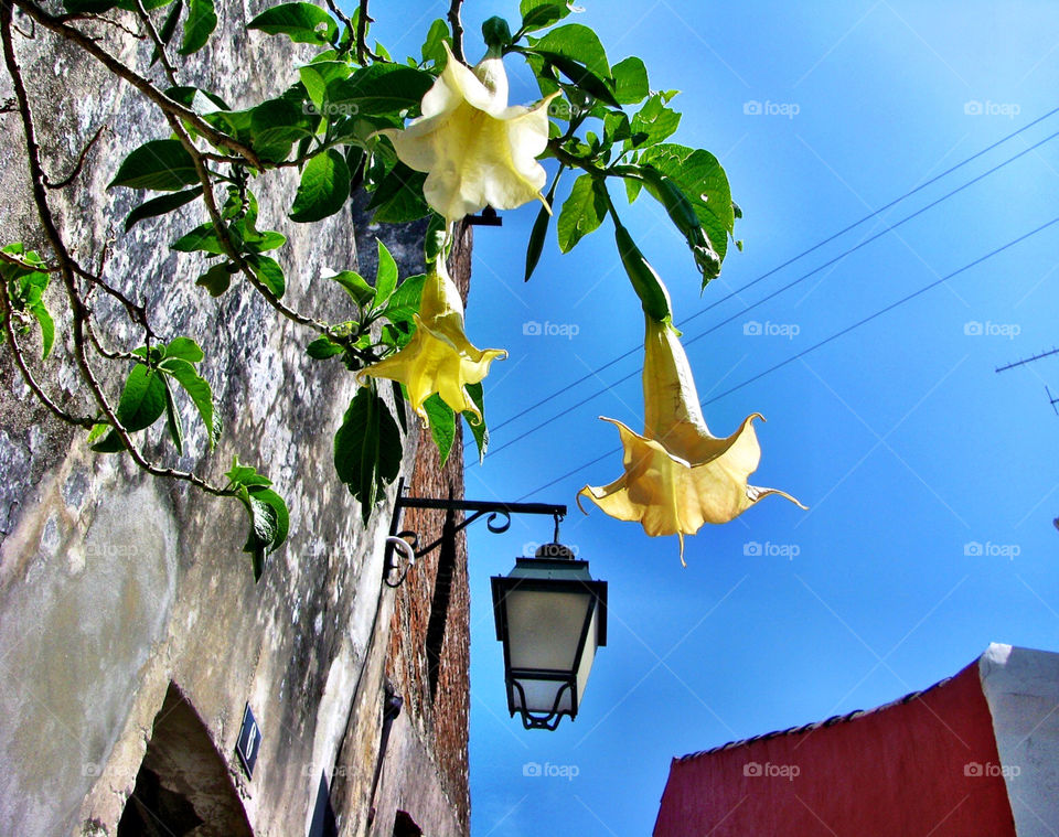 Old village street