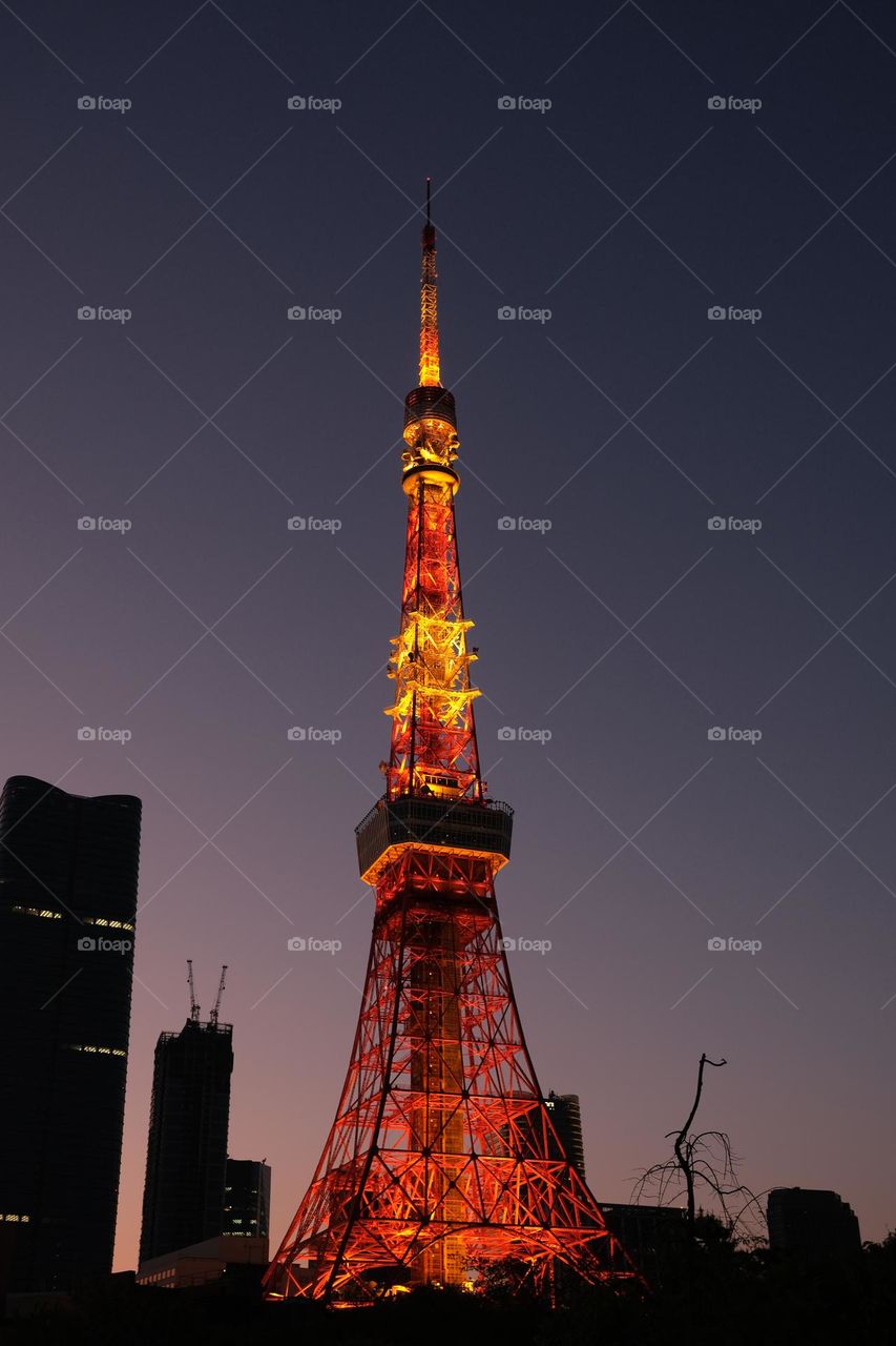 Tokyo tower