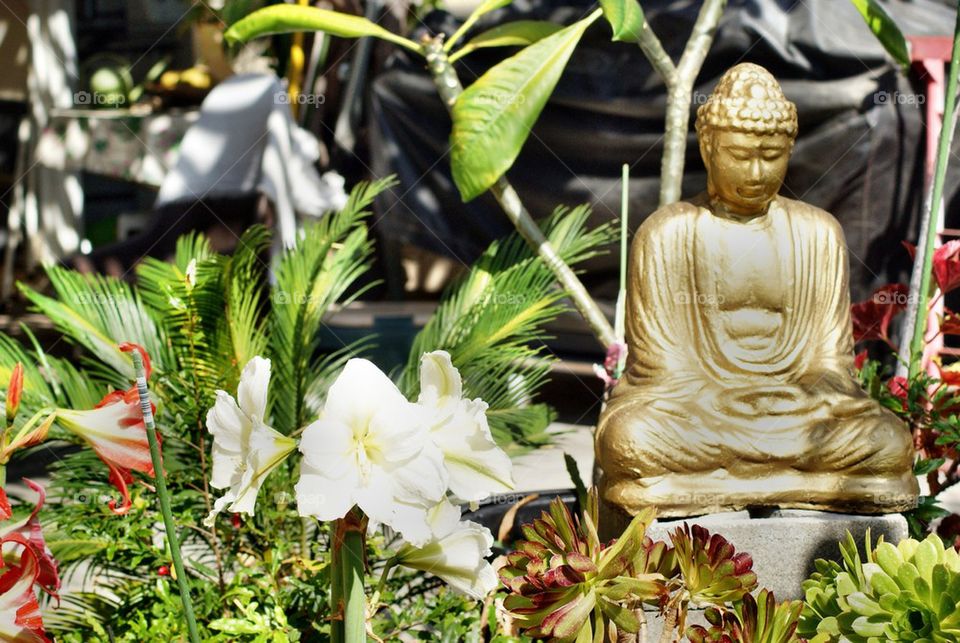 Buddha statue in garden