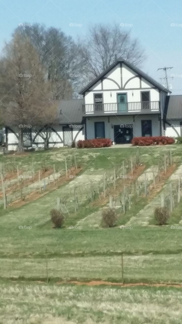 winery