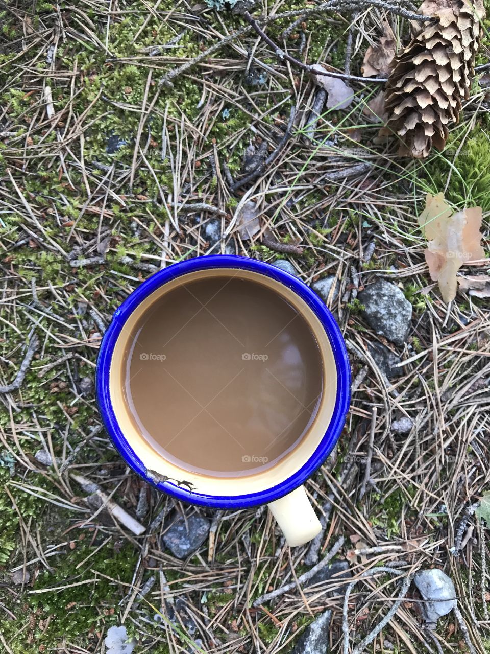 Coffee mug on the forest floor