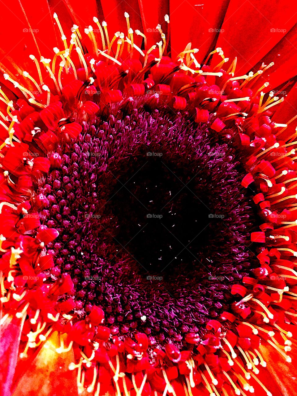 Captured with iPhone 6s Plus 