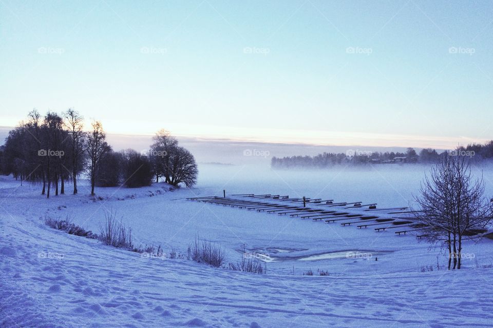 Winter in forest at sunrise