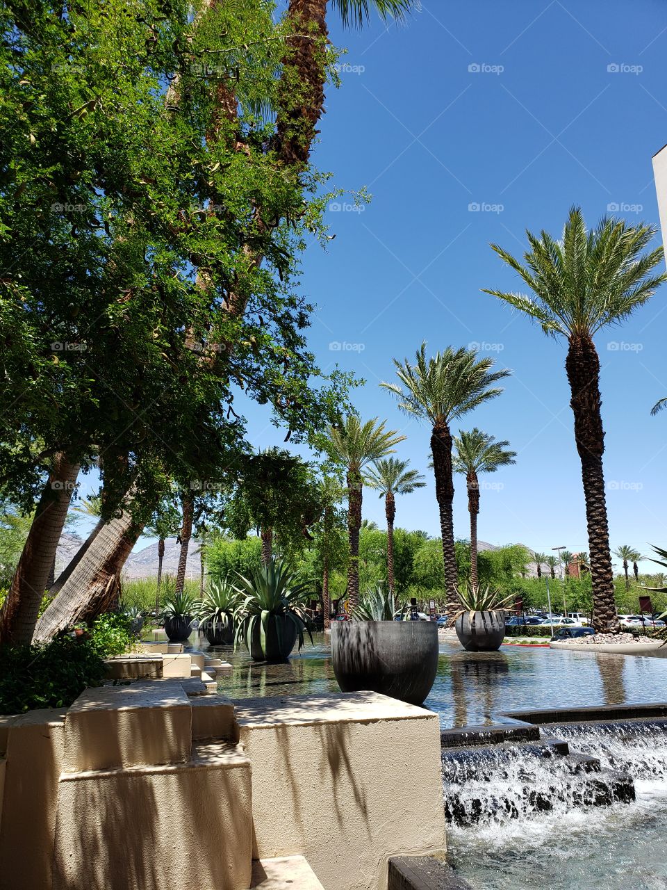 View of outdoor fountains, waterfalls, and palm trees at Red Rock Casino and Resort, Las Vegas, Nevada, USA