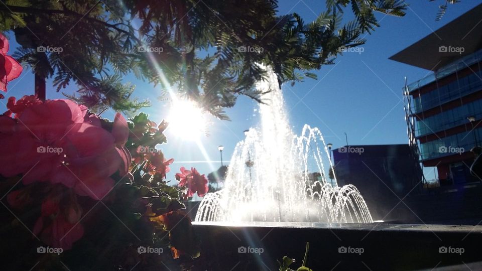 El fuente 