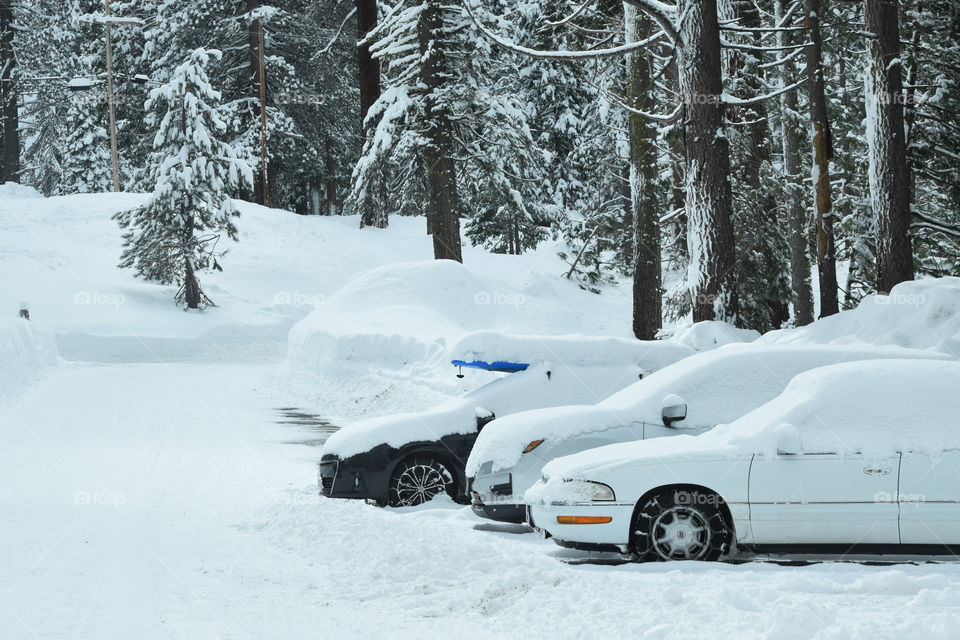 Snow on top of cars