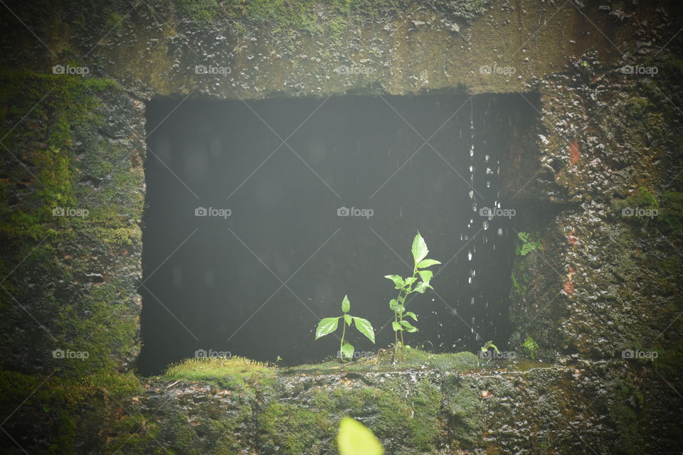 Nature's Frame for a perfect photo