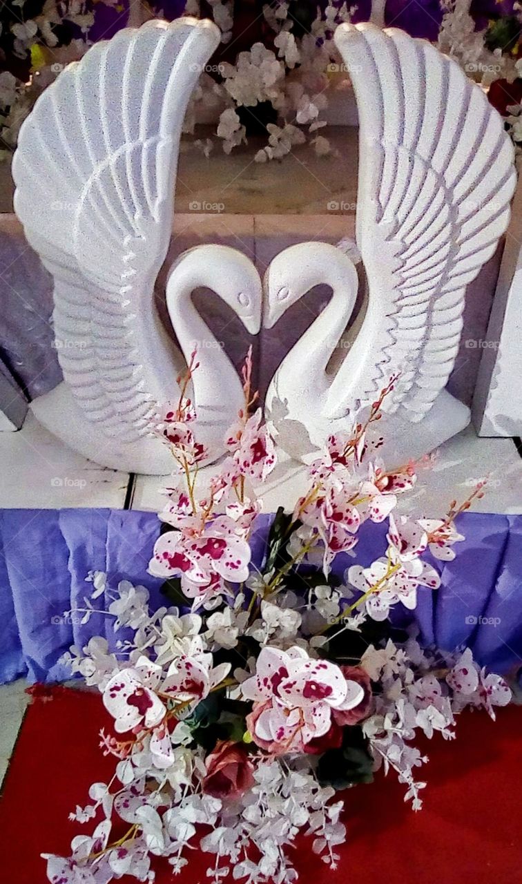 Two lovely white Swans creative design surrounded with beautiful flowers.