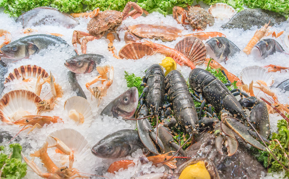 Fish And Seafood On Ice In The Market