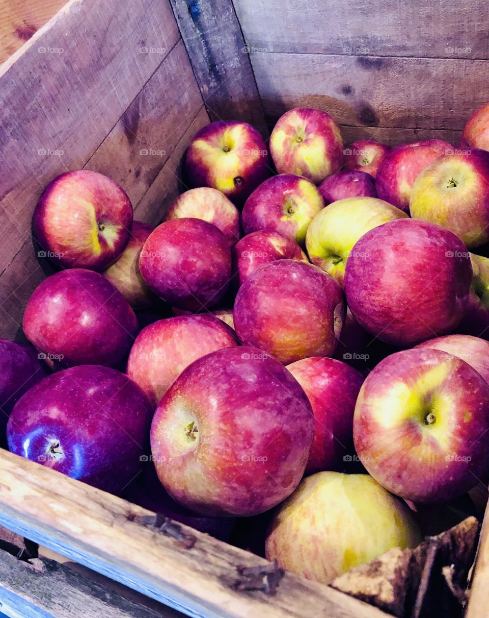 Freshly picked apples in wooden crate at the orchards 