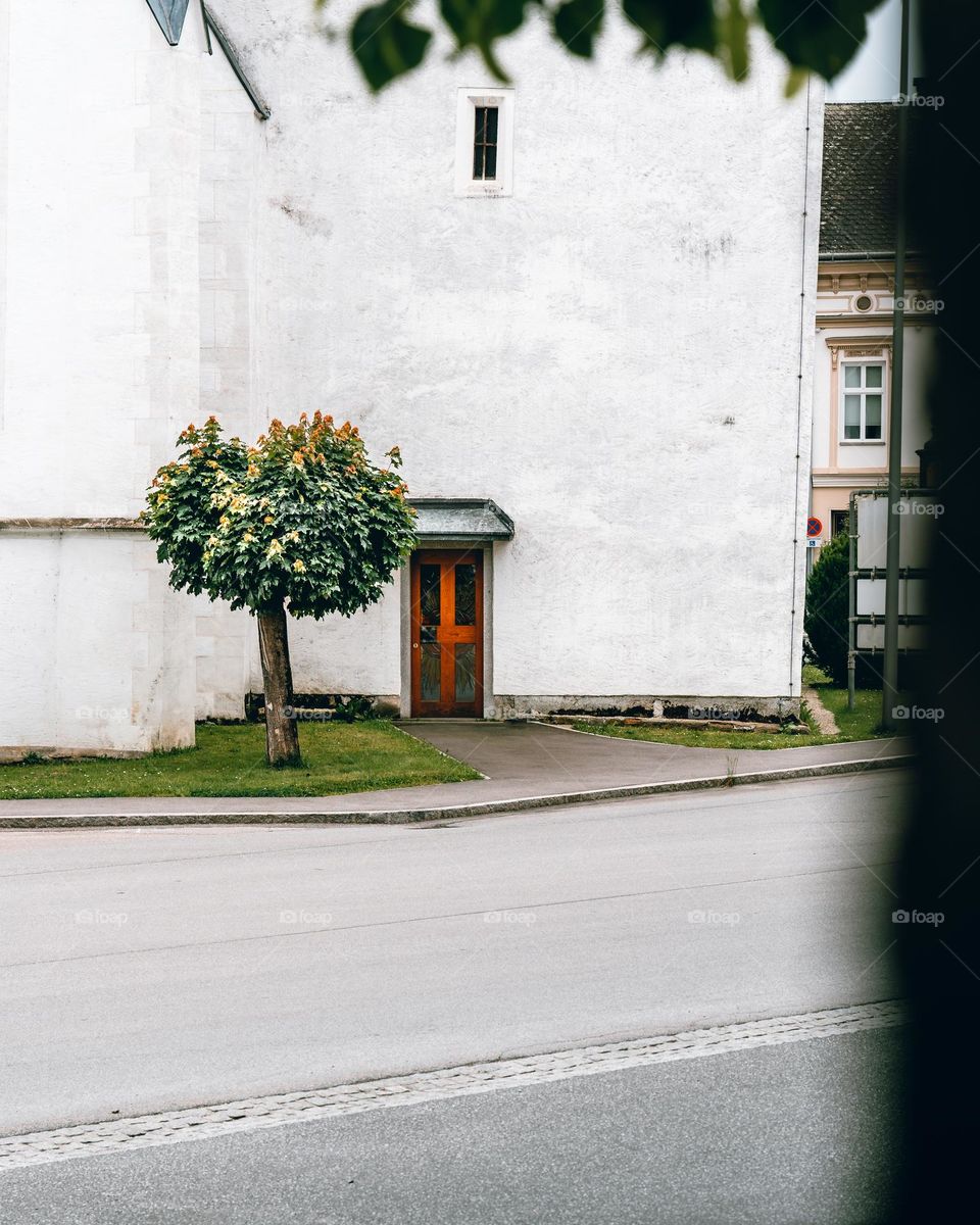 A tree next to a door