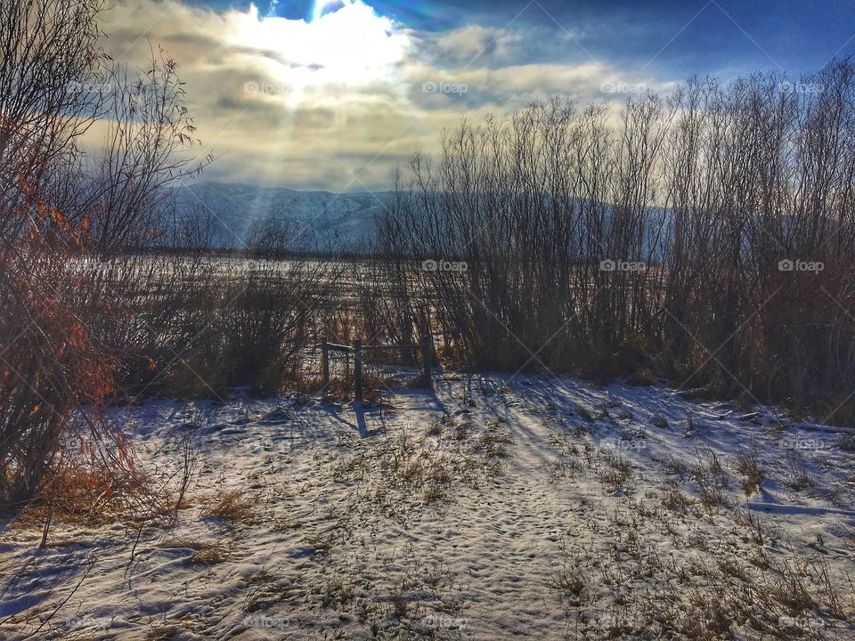 Enjoying another sunny winter day 