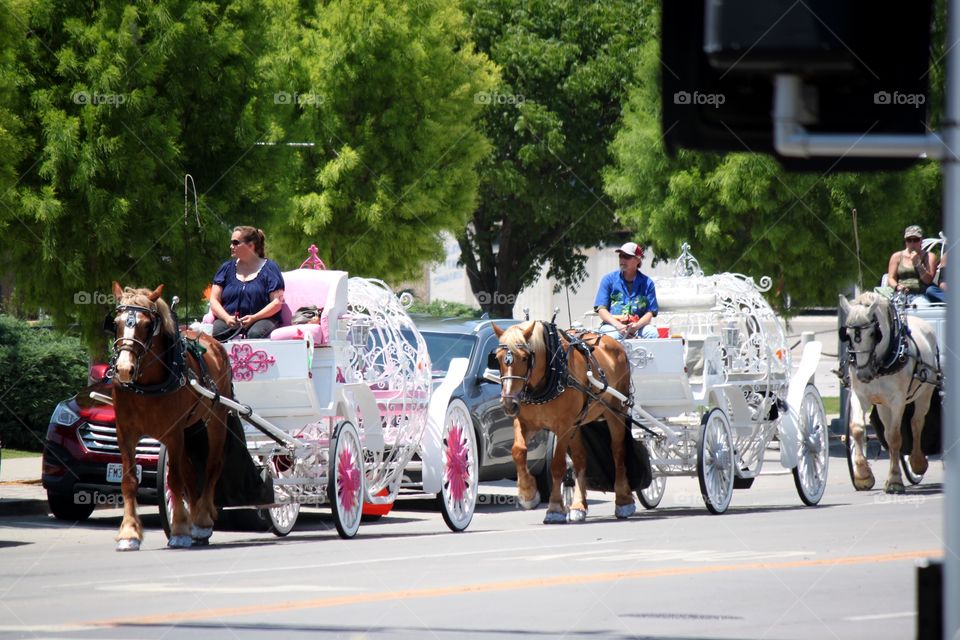 Carriage Procession