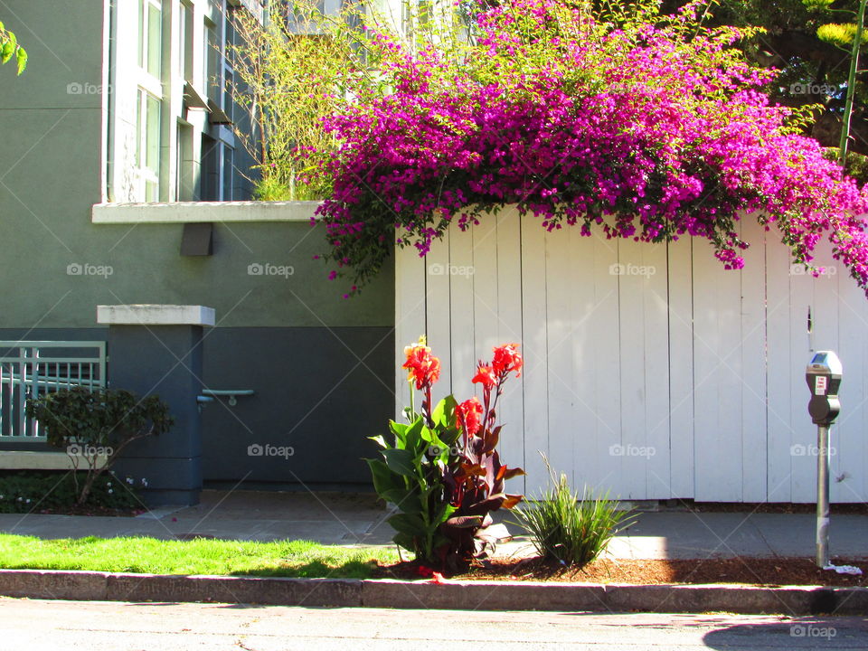white pants colorful flowers
