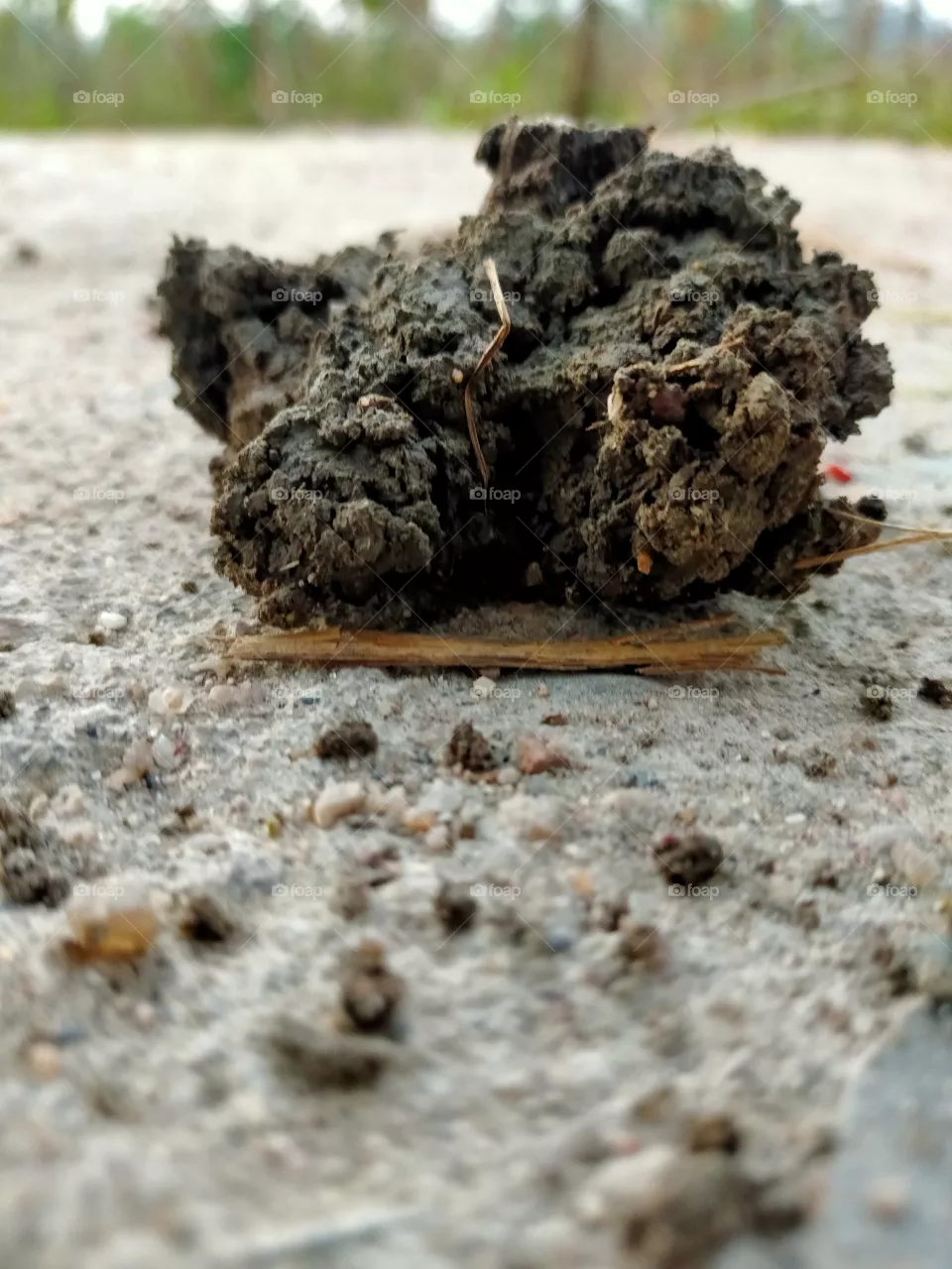 Mud of environment with no chemicals.
