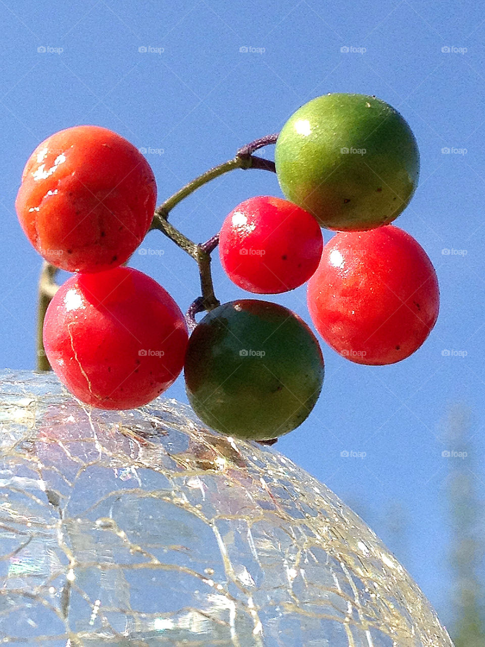 green sweden garden red by elluca