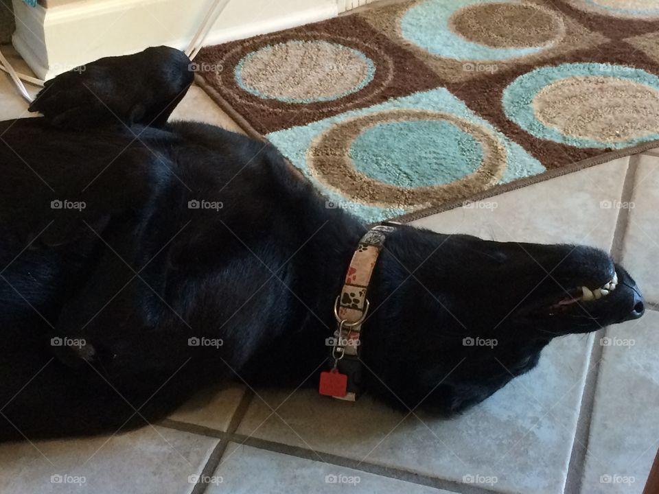 I think I'll die!. Leesa tries to convince us to take her on a car ride