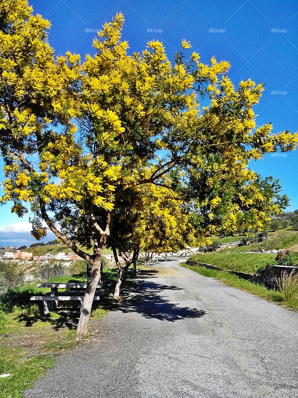 Images of Andalucia . Exploring Andalucian beauty 